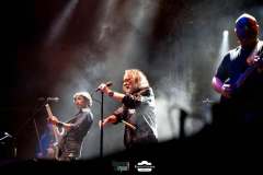 PFM on stage with violin, live concert