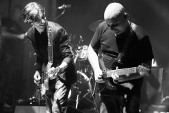 Luca Zabbini live with PFM in 2026